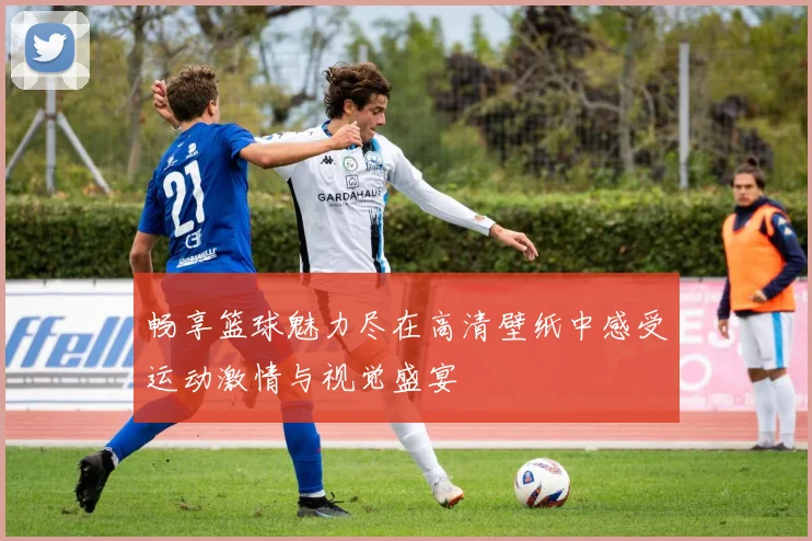 畅享篮球魅力尽在高清壁纸中感受运动激情与视觉盛宴