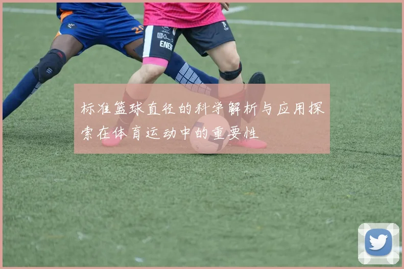 标准篮球直径的科学解析与应用探索在体育运动中的重要性